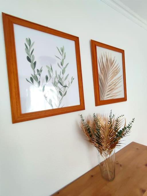 Vivienda Con Piscina, Solarium, Vistas Teide Leilighet Cho Eksteriør bilde